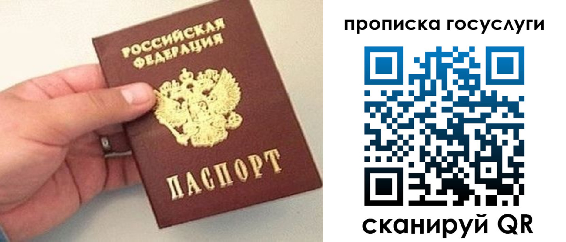 где прописаться в Чкаловске